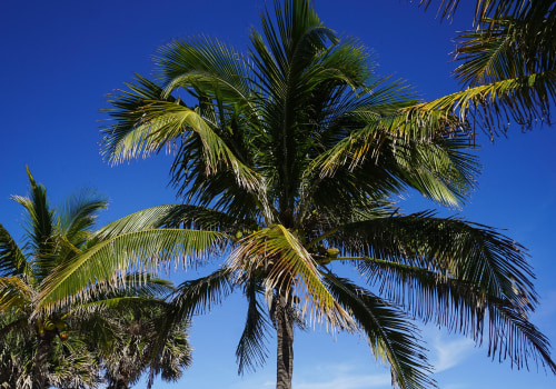 The True Cost of Living in Vero Beach, FL: A Comprehensive Guide