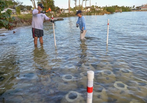 The Ultimate Guide to Volunteering in Vero Beach, FL